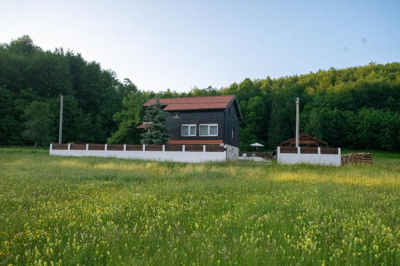 Holiday home Nina With A Heated Pool Brusane